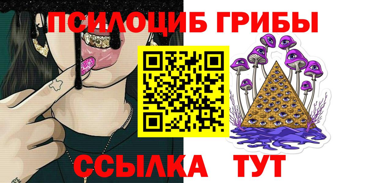 Новошахтинск  Псилоцибиновые грибы Psilocybe  Вход с VPN 
